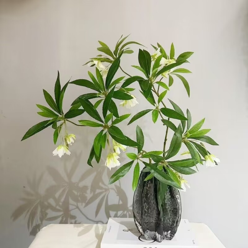 35.43 Polegada pedra de água a - Dracaena Marginata avaliação e preço