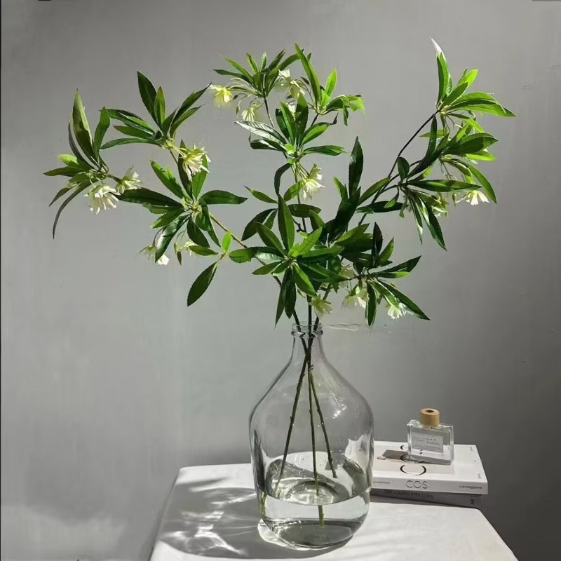 35.43 Polegada pedra de água a - Dracaena Marginata avaliação e preço