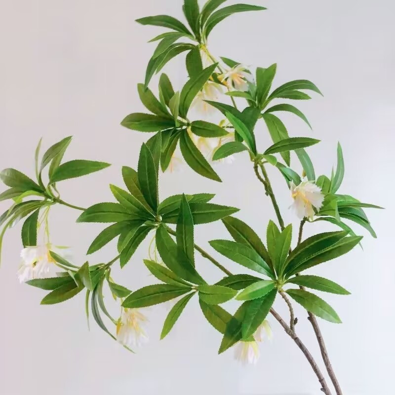 35.43 Polegada pedra de água a - Dracaena Marginata avaliação e preço