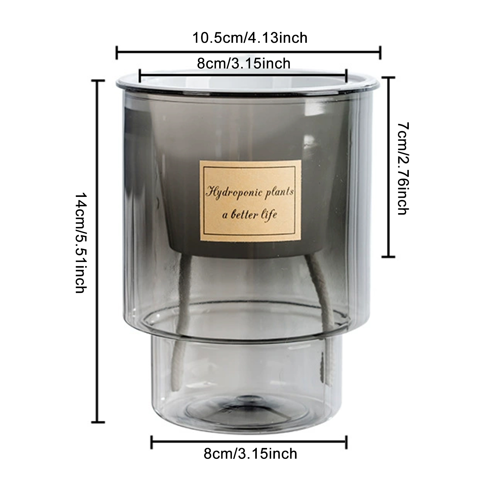 Vaso Transparente com Absorção - Aloe Vera Pot avaliação e preço