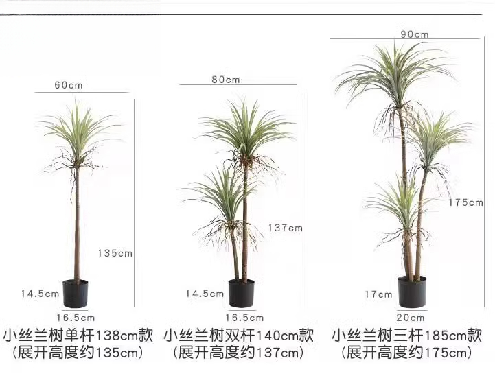 Dragão sangue yucca planta art - Dracaena Marginata avaliação e preço