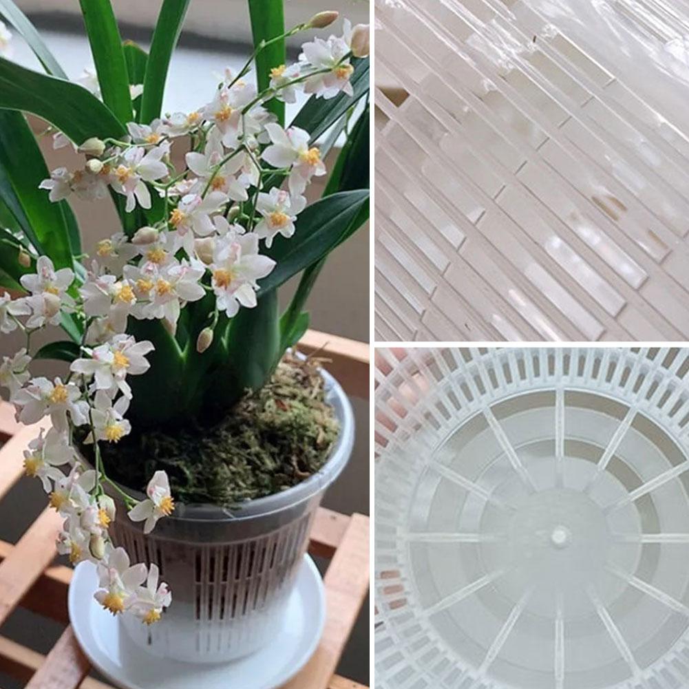 Vaso de malha transparente par - Aloe Vera Pot avaliação e preço