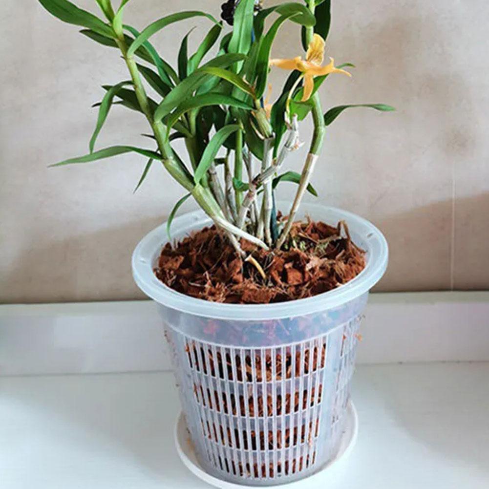 Vaso de malha transparente par - Aloe Vera Pot avaliação e preço