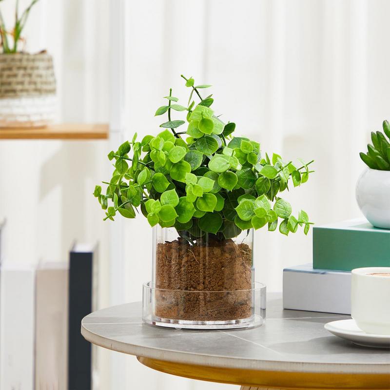 Vasos de plantas transparentes - Aloe Vera Pot avaliação e preço