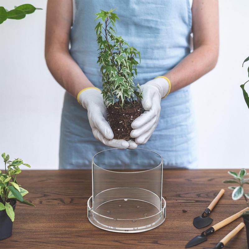 Vasos de plantas transparentes - Aloe Vera Pot avaliação e preço