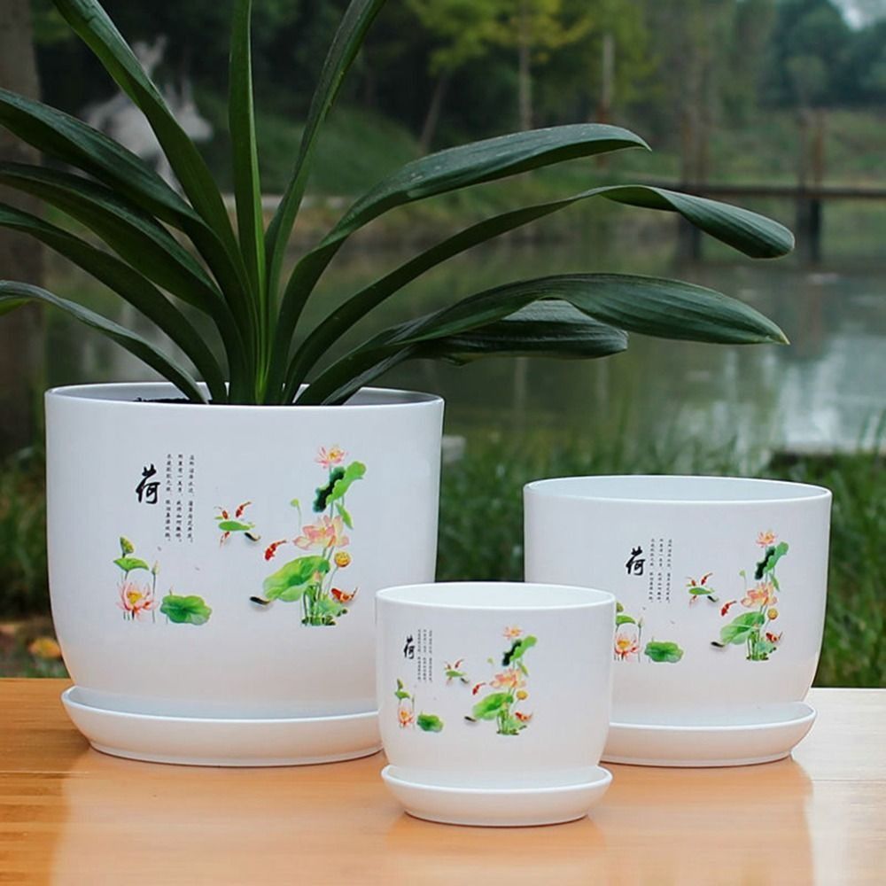 Vaso de Plástico Extra Grande  - Aloe Vera Pot avaliação e preço