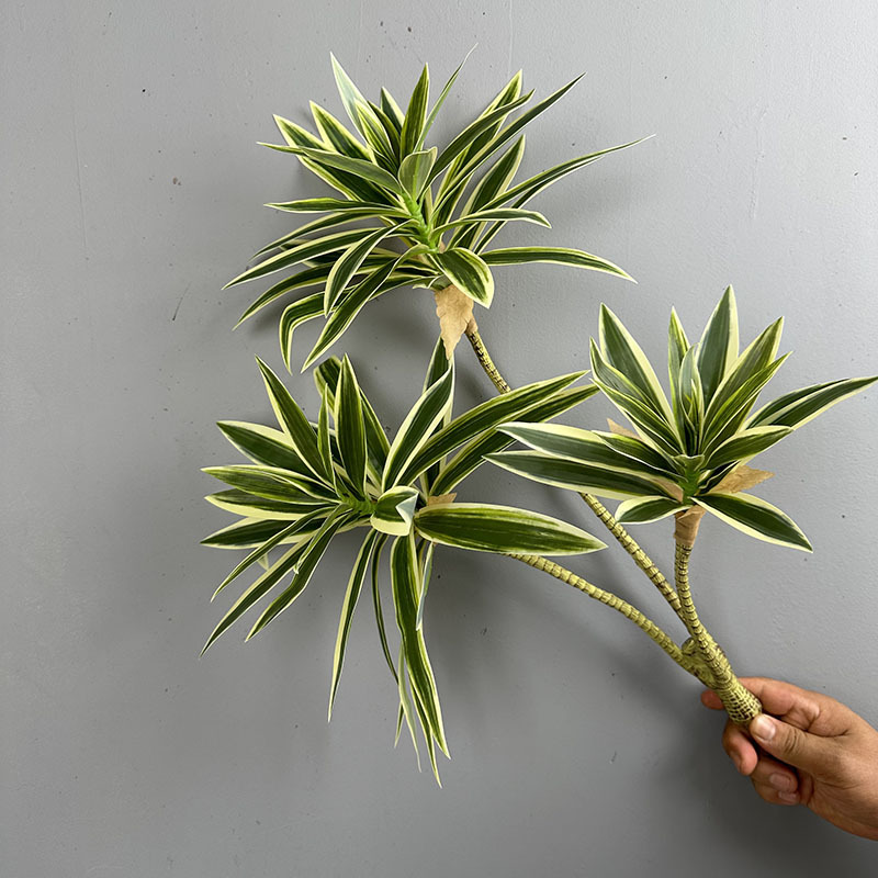 Plantas verdes simuladas, 3 ca - Dracaena Marginata avaliação e preço